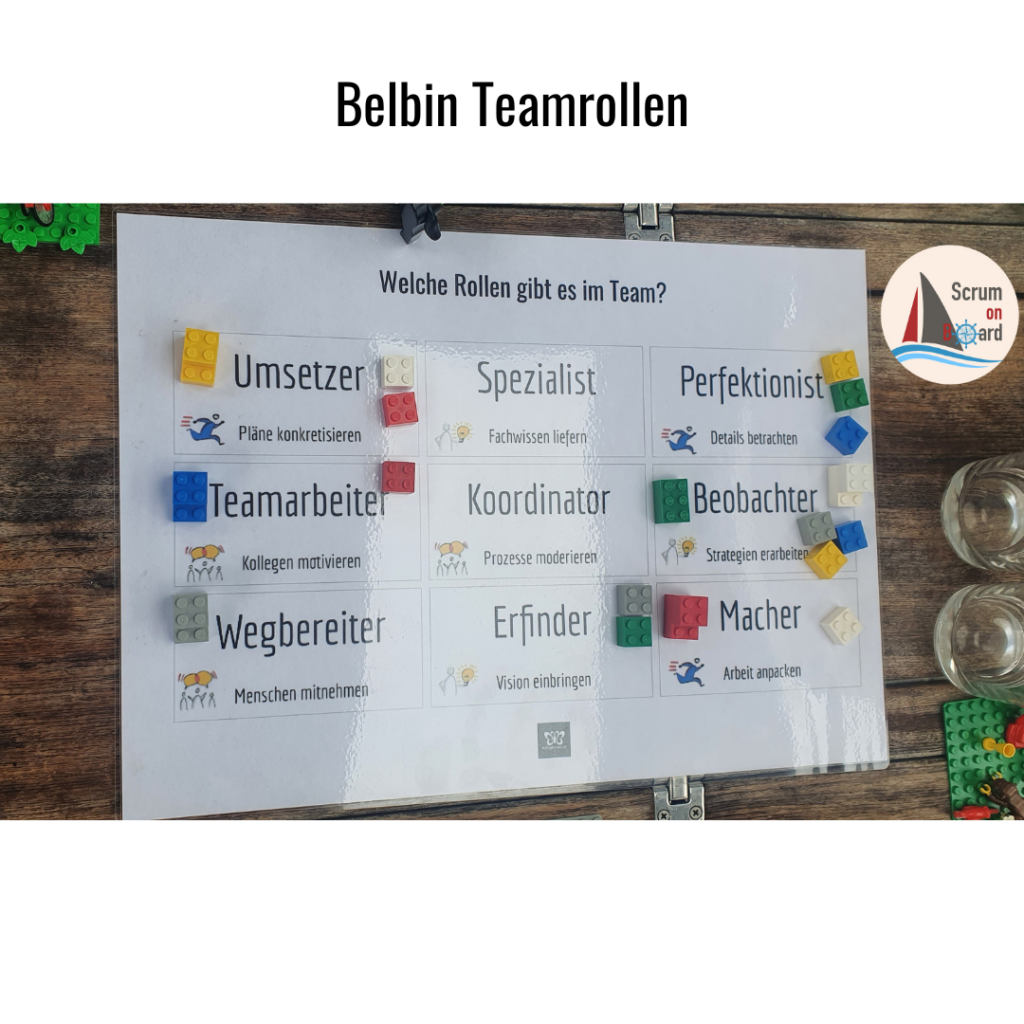 Team Analyse Mit Den Belbin Teamrollen Butterflying De