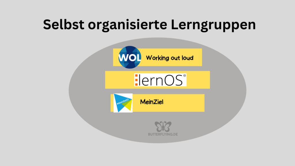 selbstorganisierte Lerngruppen